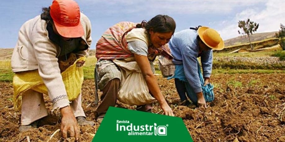 Imagen del artículo Sector agropecuario peruano registró crecimiento de 5% en enero de 2022
